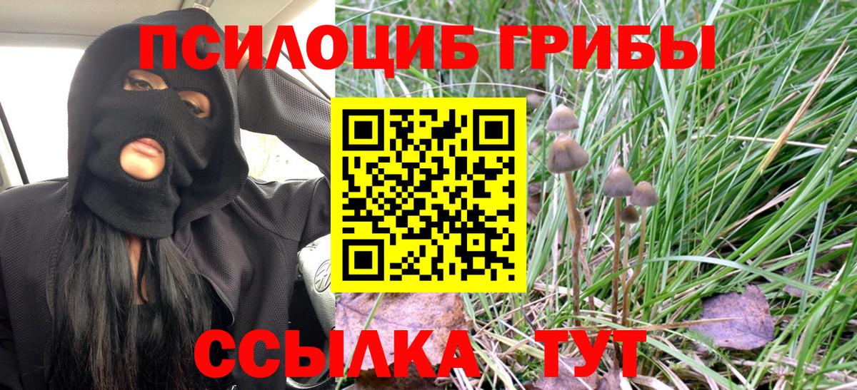 Галлюциногенные грибы ЛСД Белогорск