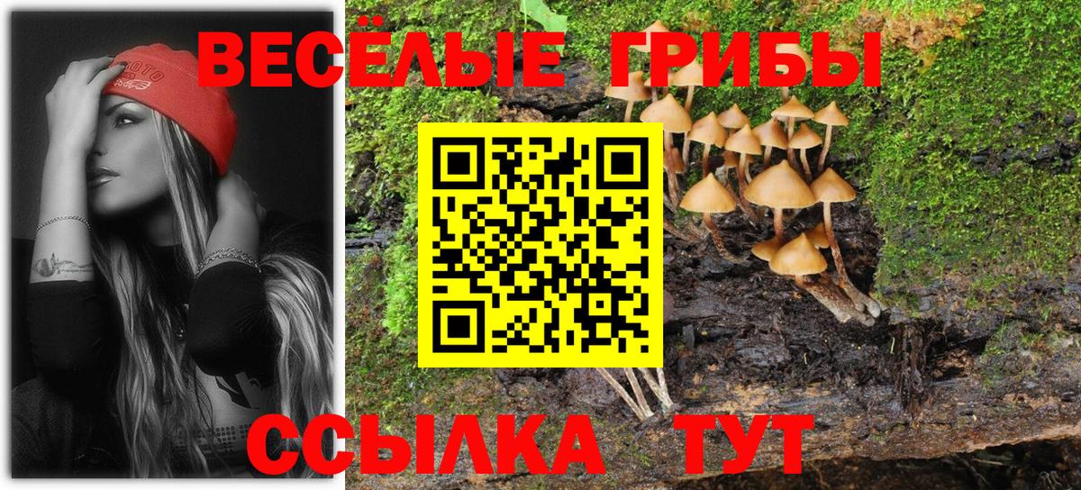 Белогорск  Псилоцибиновые грибы Magic Shrooms  Вход с VPN 